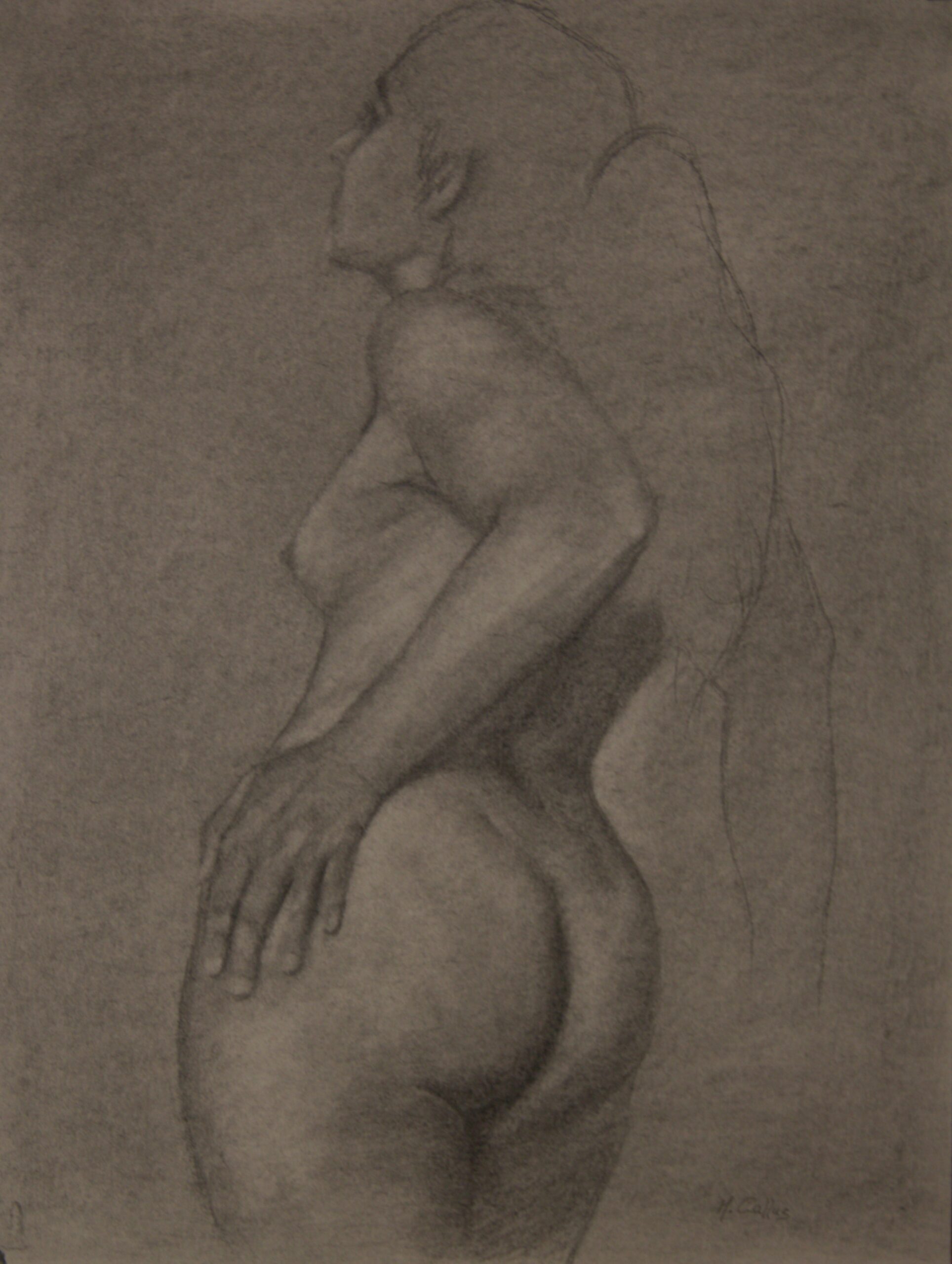 Clothilde - Mark Callus